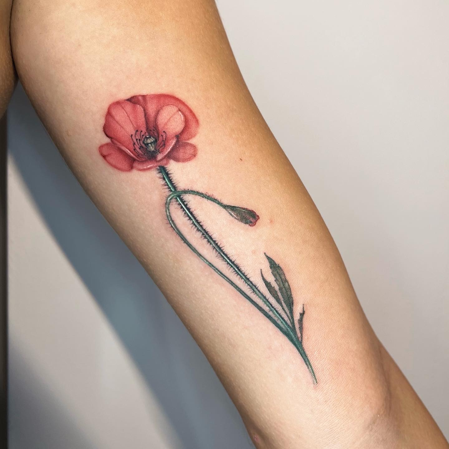 Federica Viglietti-0