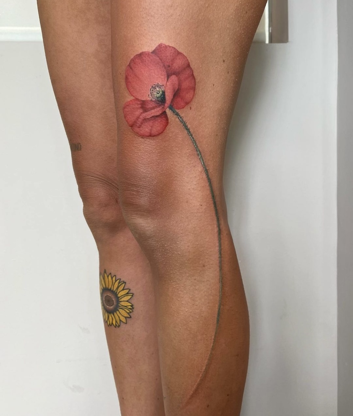 Federica Viglietti-1