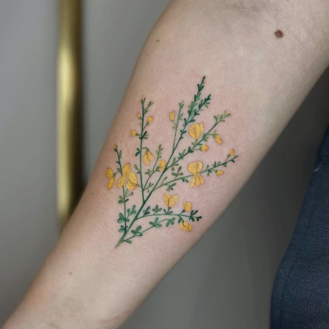 Federica Viglietti-2